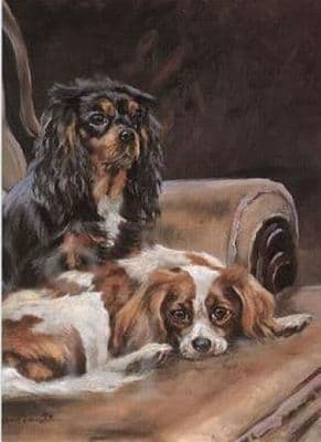 Cavalier King Charles Spaniels Blank Greetings Card 'Cavalier King Charles' by Mick Cawston B116
