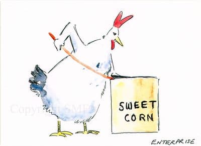 Chicken Blank Greeting Card 'Enterprise' by Malcolm Coward M030