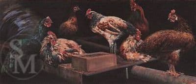 Chicken Limited Edition Print 'Gone To Roost' by Malcolm Coward