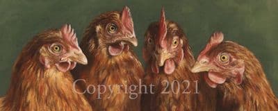 Chicken Limited Edition Print 'Rumour Has It'  by Mary Herbert