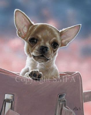Chihuahua Limited Edition Print 'Pretty in Pink' by Paul Doyle