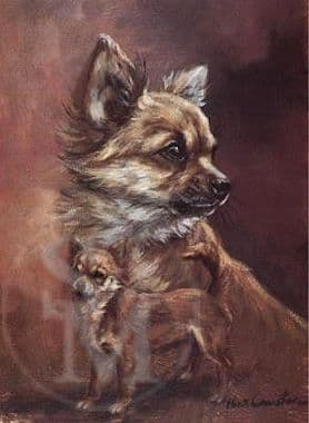 Chihuahua Limited Edition Print 'The Chihuahua' by Mick Cawston
