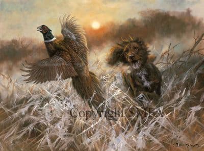 Chocolate Cocker Christmas Cards Chocolate Cocker Flushing Pheasant by John Trickett C410X