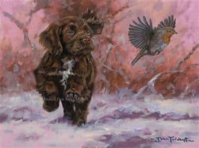 Chocolate Cocker Pup Christmas Cards 'Cock Robin' by John Trickett C478X