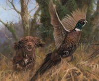 Chocolate Cocker Spaniel Canvas Limited Edition 'Chocs Away' by John Trickett