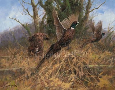 Chocolate Cocker Spaniel Canvas Limited Edition 'Chocs Away' by John Trickett