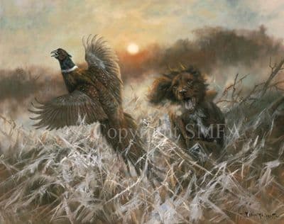 Chocolate Cocker Spaniel Limited Edition Print 'Last Flush of the Day' by John Trickett