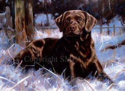 Chocolate Labrador Christmas Cards 'Chocolate Ice' by John Trickett C244X