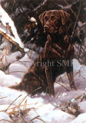 Chocolate Labrador Christmas Cards 'Ice Magic' Pack of 10 Cards by John Trickett C373X