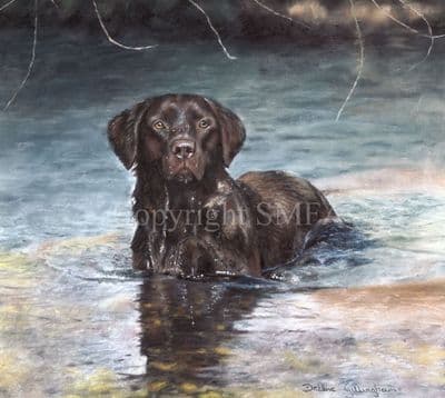Chocolate Labrador Limited Edition Print 'Chocolate Dip'  by Debbie Gillingham