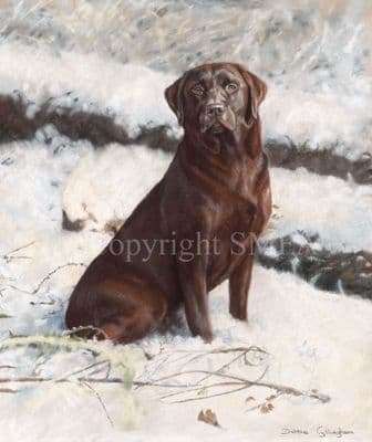 Chocolate Labrador Limited Edition Print 'White Chocolate'  by Debbie Gillingham