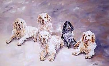 Clumber Spaniel Cocker Spaniel Limited Edition Print 'Clumber Park' Pippa Thew