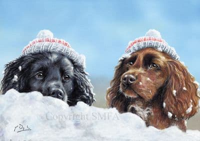 Cocker Beanies' Pack of Ten Cocker Spaniel Christmas Cards by Paul Doyle