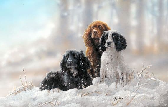 Cocker Spaniel Blank Greetings Card 'All Weather Workers' by Paul Doyle C673