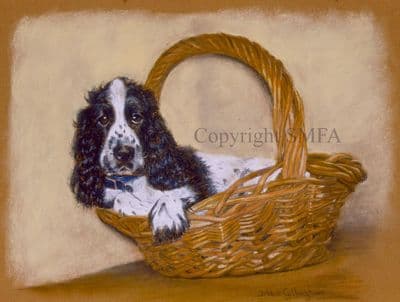 Cocker Spaniel Blank Greetings Card 'Packed and Ready' by Debbie Gillingham C220