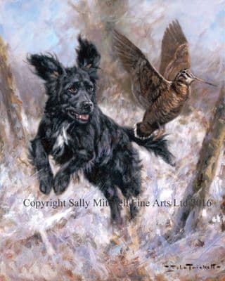 Cocker Spaniel Flushing Woodcock Christmas Cards 'Startled' by John Trickett C429X