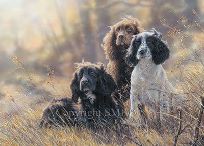 Cocker Spaniel Greetings Card 'Shooting The Breeze' by Paul Doyle C530