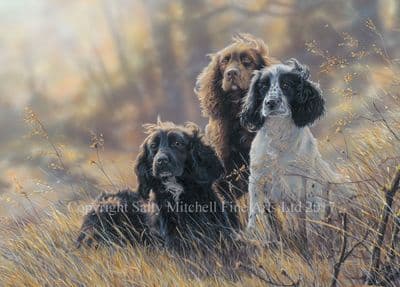 Cocker Spaniel Greetings Card 'Shooting The Breeze' by Paul Doyle C530