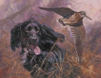 Cocker Spaniel Limited Edition Canvas Print 'Woodcock Up' by John Trickett