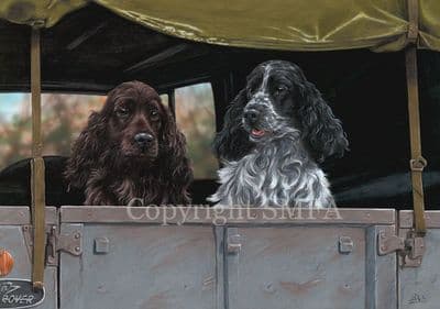 Cocker Spaniel Limited Edition Print 'Cocker Two' by Paul Doyle