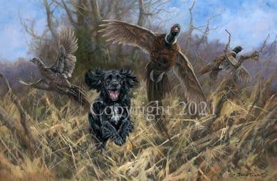 Cocker Spaniel Limited Edition Print 'Full Tilt' by John Trickett