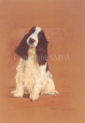 Cocker Spaniel Limited Edition Print 'Modesty' by Debbie Gillingham