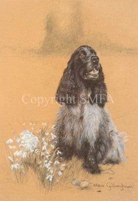 Cocker Spaniel Limited Edition Print 'Patience' by Debbie Gillingham
