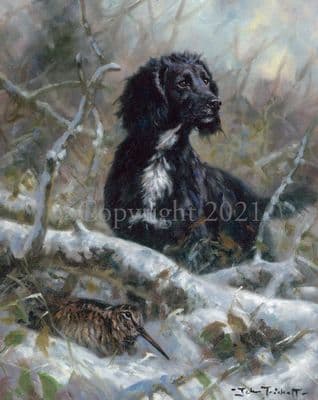 Cocker Spaniel Limited Edition Print 'Seek and Ye Shall Find' by John Trickett