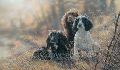 Cocker Spaniel Limited Edition Print 'Shooting the Breeze' by Paul Doyle