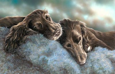 Cocker Spaniel Limited Edition Print 'Sleepy Heads' by Paul Doyle