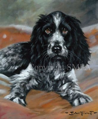 Cocker Spaniel Limited Edition Print 'Young Love' by John Trickett