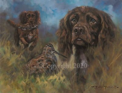 Cocker Spaniel Original Oil Painting 'Chocolate Cocker' by John Trickett