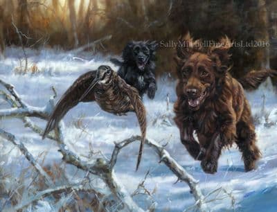 Cocker Spaniels Flushing Woodcock Pack of 10 Christmas Cards by John Trickett C490X