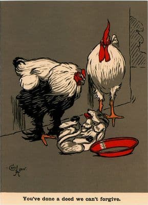 Cockerel Funny Blank Greetings Card  'Forgiveness' by Cecil Aldin C284