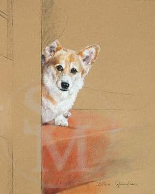 Corgi Limited Edition Print 'I am Shy!' by Debbie Gillingham
