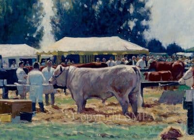 Cow Blank Greetings Card 'The Cattle Show'  by Colin Allbrook C266