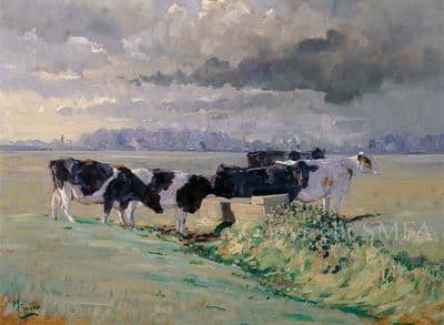 Cow Blank Greetings Card 'This England' by Malcolm Coward C40