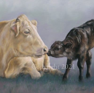 Cow Limited Edition Print 'Downtime at the Milk Bar' by Mary Herbert
