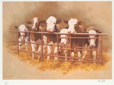 Cow Limited Edition Print 'Waiting for Supper' by Frank Wright