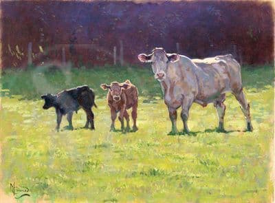 Cow Original Painting 'Grazing Cows' by Malcolm Coward