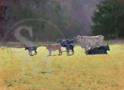 Cow Original Painting 'Summer Evening' by Malcolm Coward