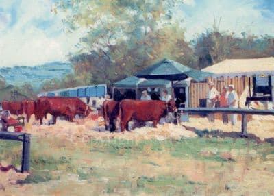 Cows Blank Greetings Card 'Honiton Show' by Colin Allbrook C211