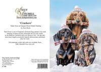 Crackers' Dachshund Christmas Cards by Paul Doyle