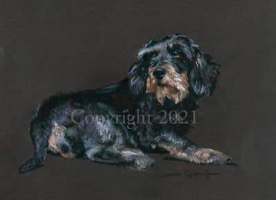 Dachshund Limited Edition Print 'Tough and Wiry' by Debbie Gillingham