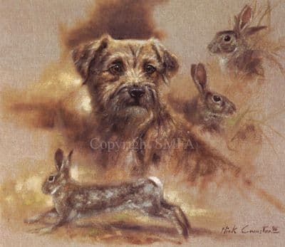 Daydreaming'  Border Terrier Print by Mick Cawston