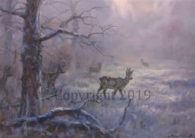 Deer in the Snowy Forest Christmas Cards 'Peace' by John Trickett C598X
