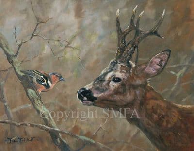 Deer Limited Edition Canvas Print 'Brief Encounter' by John Trickett