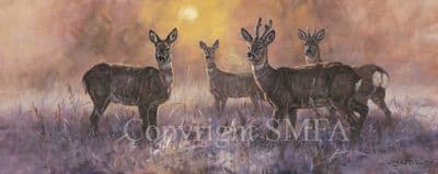 Deer  Limited Edition Canvas Print 'Sunset Roes' by John Trickett