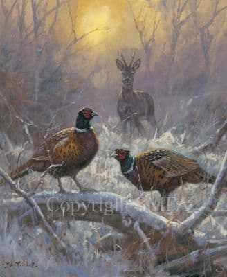 Deer Pheasant Limited Edition Canvas Print 'Forest Friends' by John Trickett