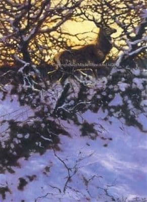 Deer Stag  Christmas Cards 'First Light' by Mick Cawston C79X
